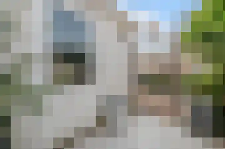 Neerwal 74 Helmond thumbnail 20