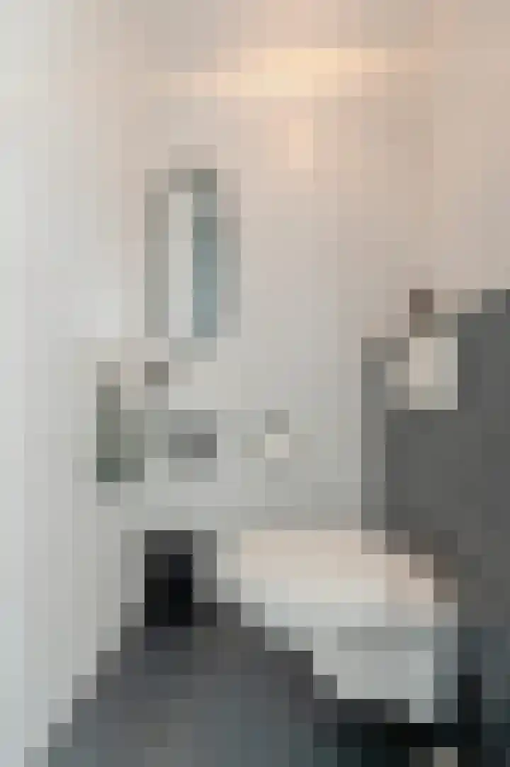 Neerwal 74 Helmond thumbnail 9