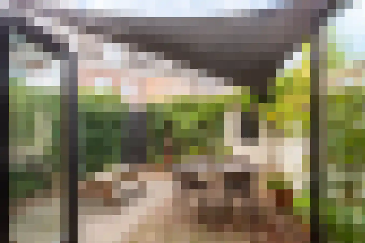 Neerwal 92 Helmond thumbnail 30