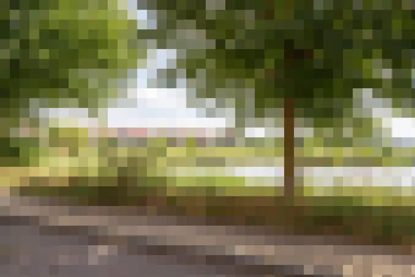 Neerwal 92 Helmond thumbnail 36