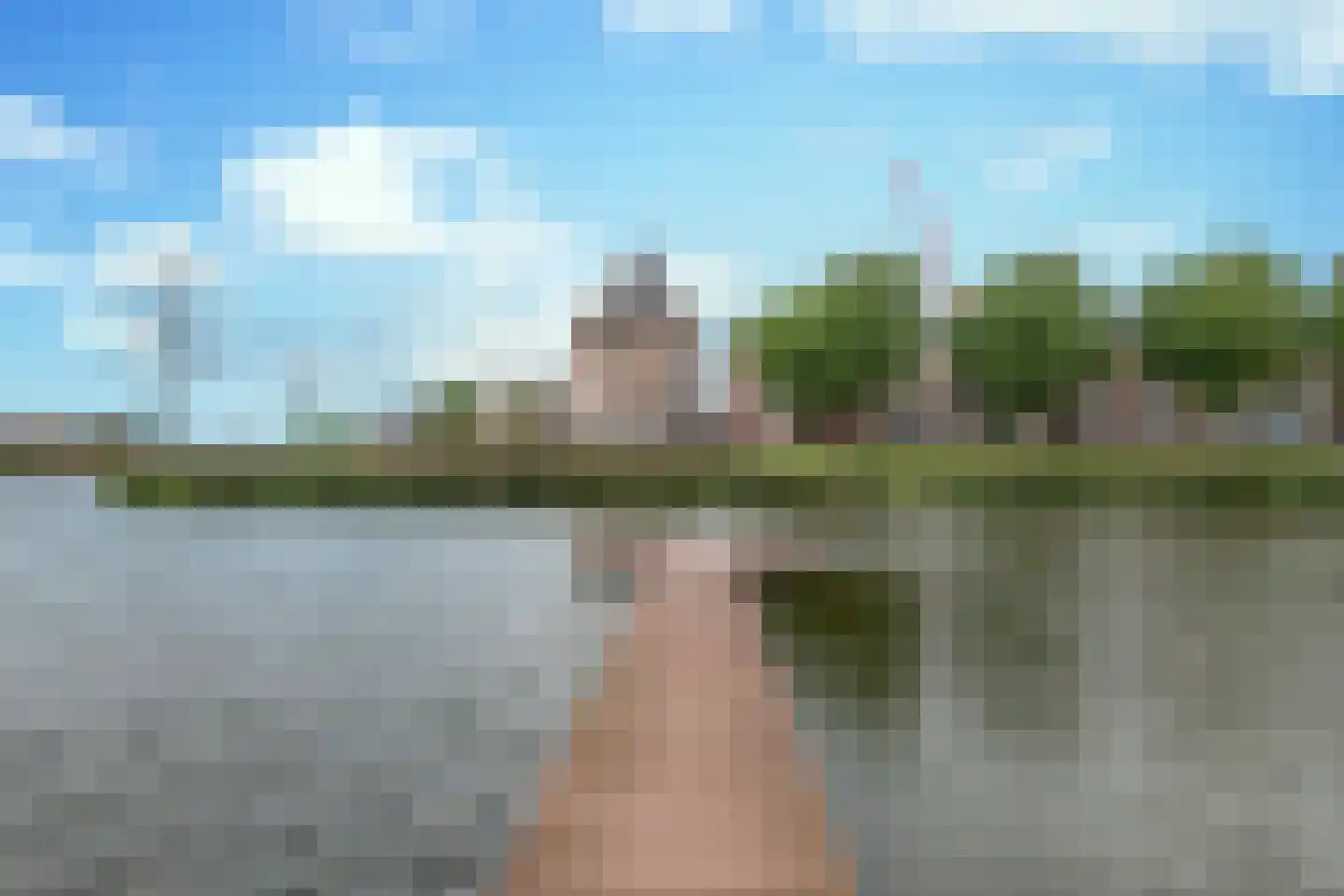 Neerwal 94 Helmond thumbnail 44