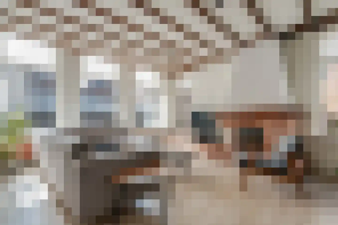 Neerwoldstraat 2 Steenwijk thumbnail 10