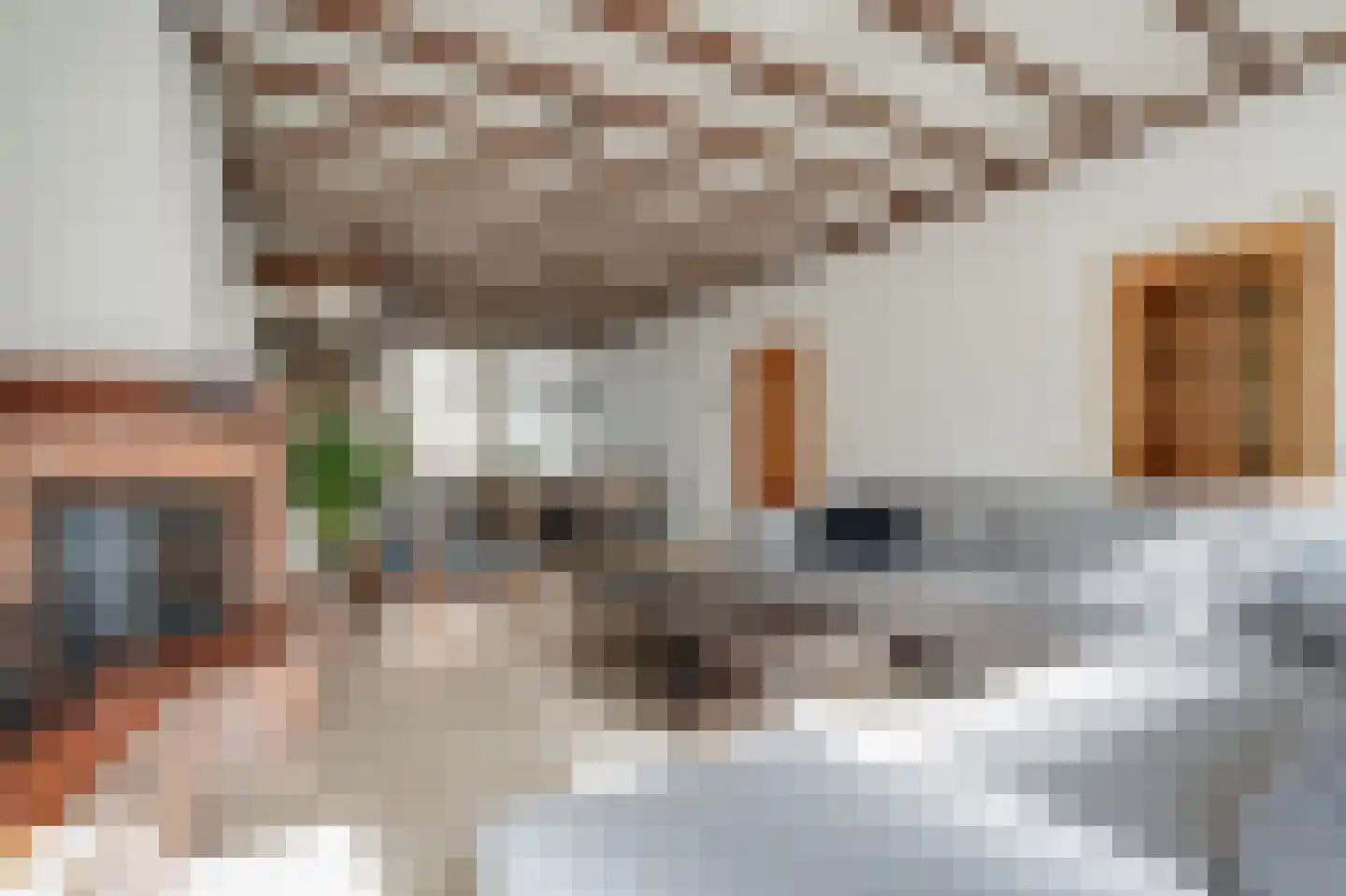 Neerwoldstraat 2 Steenwijk thumbnail 12