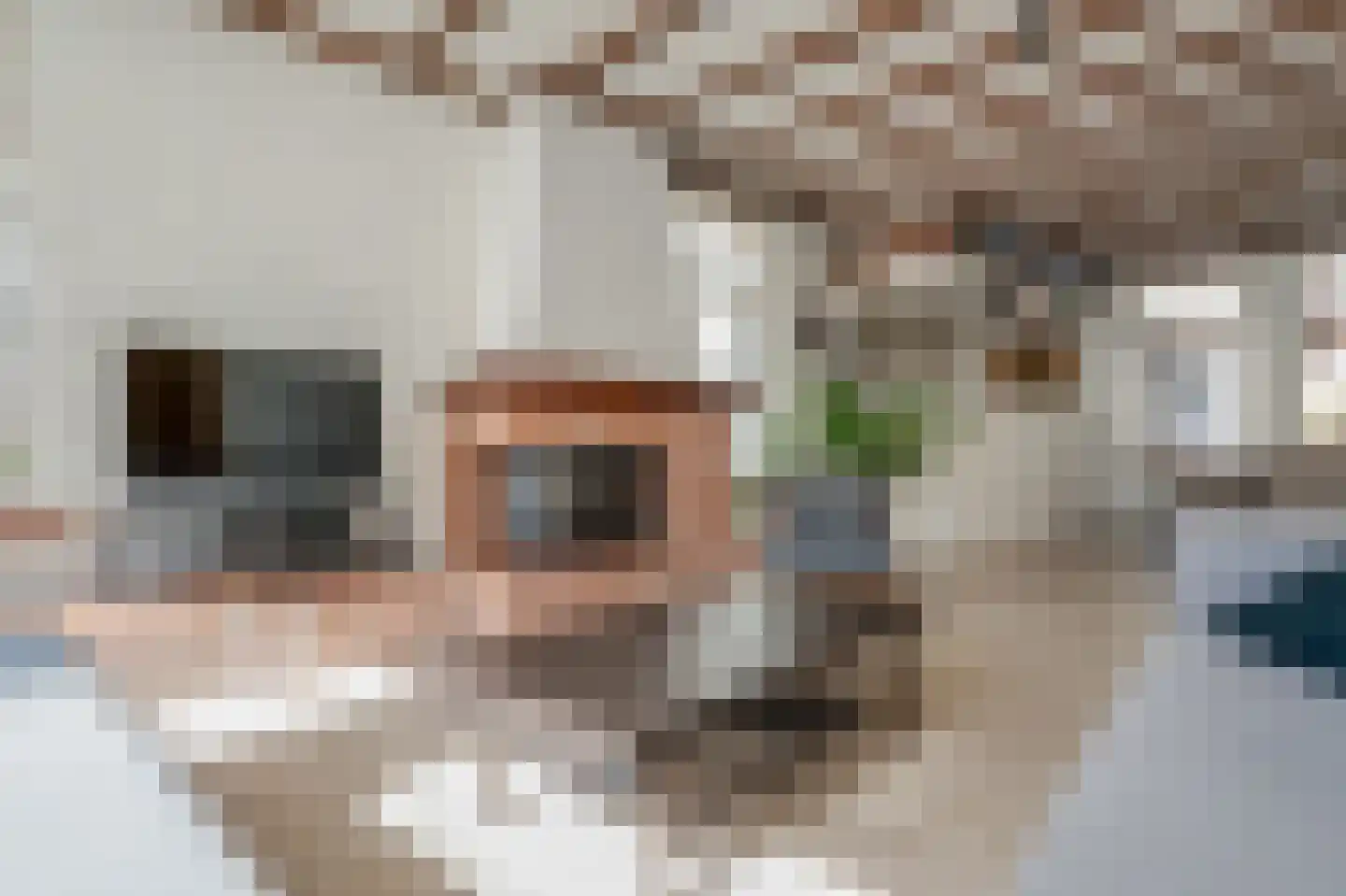 Neerwoldstraat 2 Steenwijk thumbnail 13