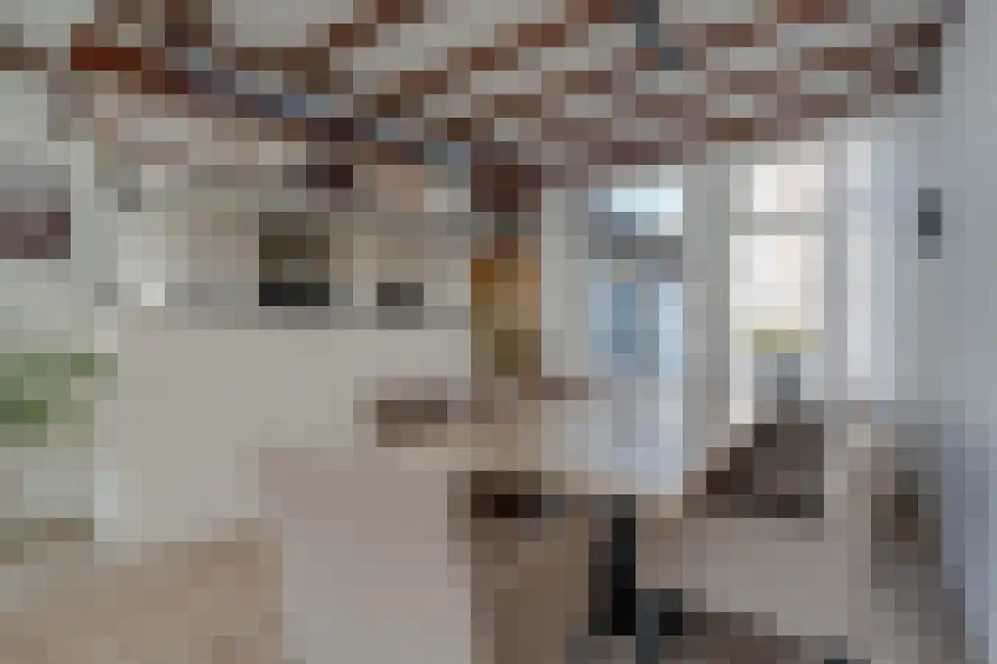 Neerwoldstraat 2 Steenwijk thumbnail 15