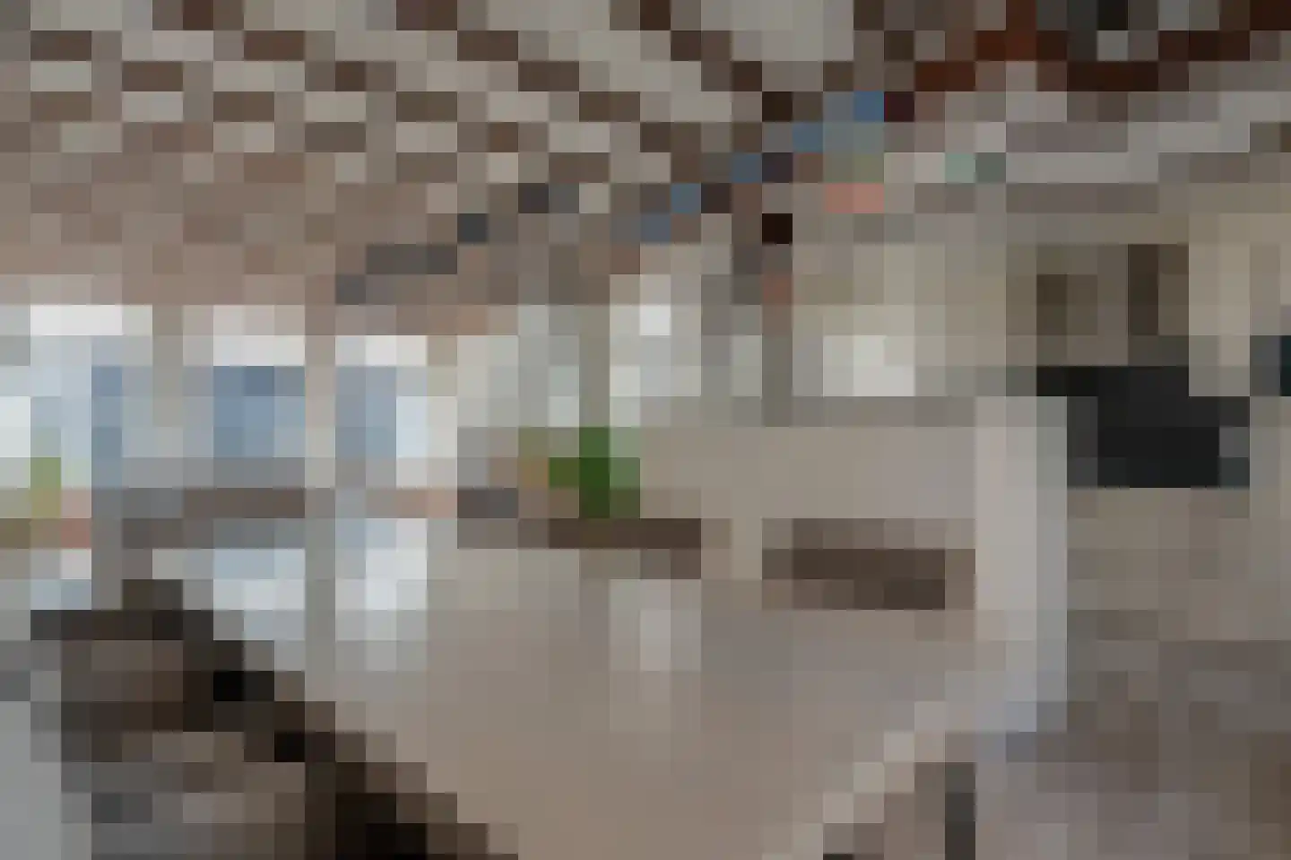 Neerwoldstraat 2 Steenwijk thumbnail 17