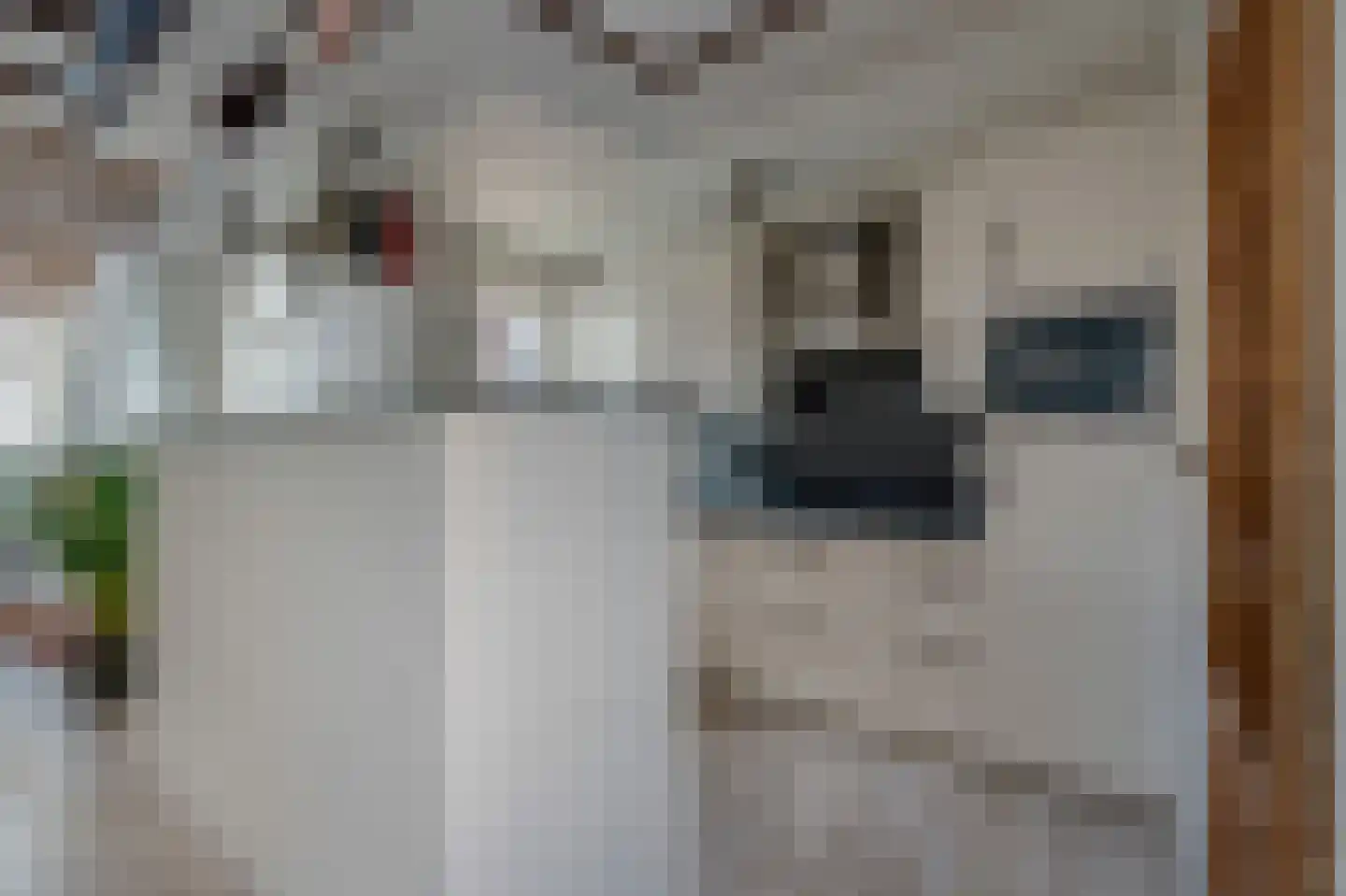 Neerwoldstraat 2 Steenwijk thumbnail 18