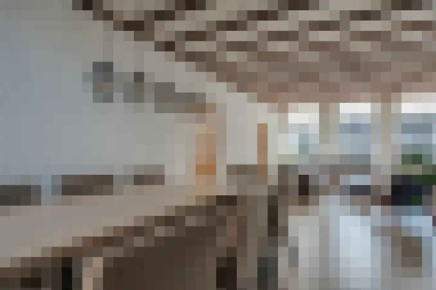 Neerwoldstraat 2 Steenwijk thumbnail 22