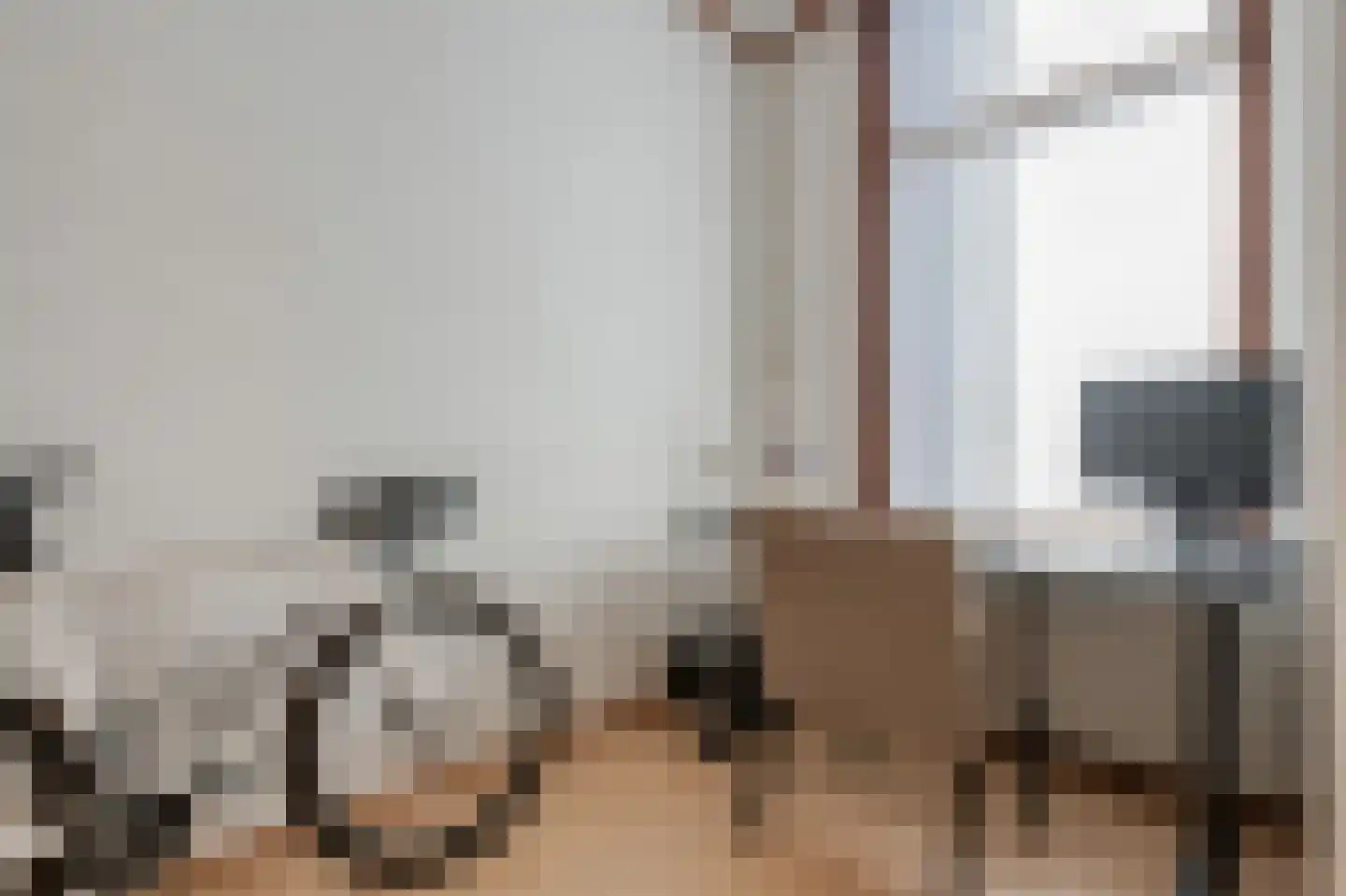 Neerwoldstraat 2 Steenwijk thumbnail 23