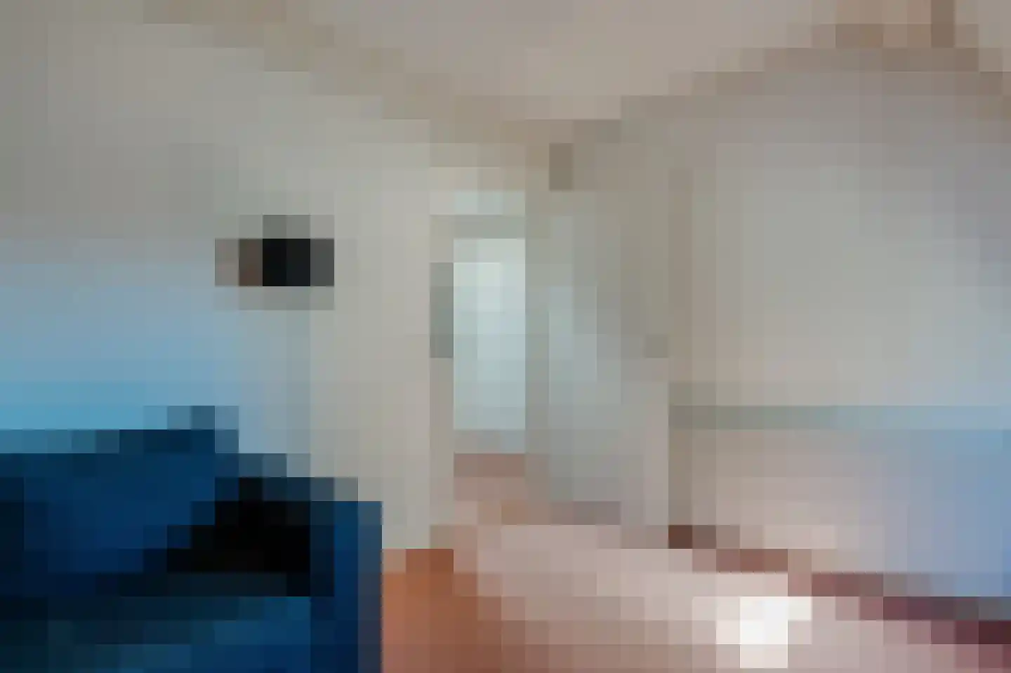 Neerwoldstraat 2 Steenwijk thumbnail 30