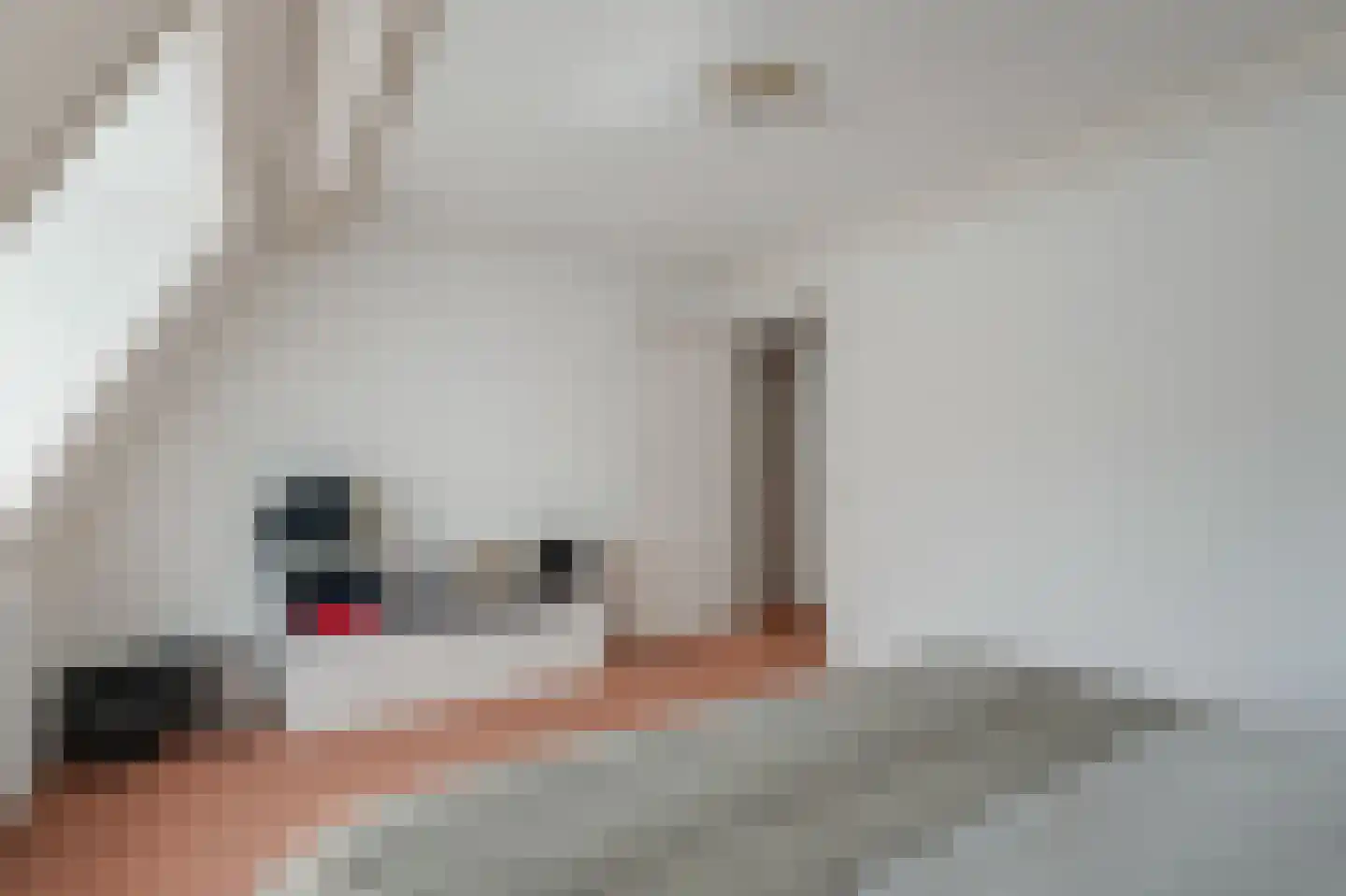 Neerwoldstraat 2 Steenwijk thumbnail 32