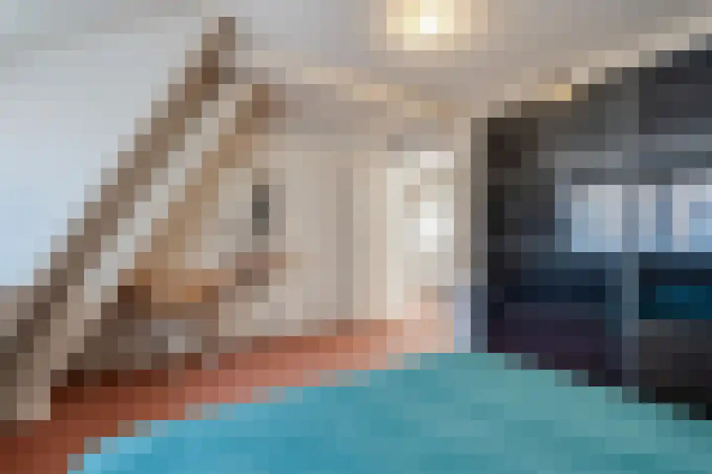Neerwoldstraat 2 Steenwijk thumbnail 34