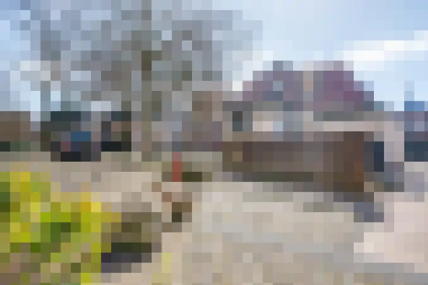 Neerwoldstraat 2 Steenwijk thumbnail 47