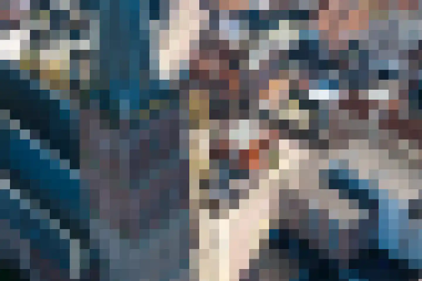 Neerwoldstraat 2 Steenwijk thumbnail 51