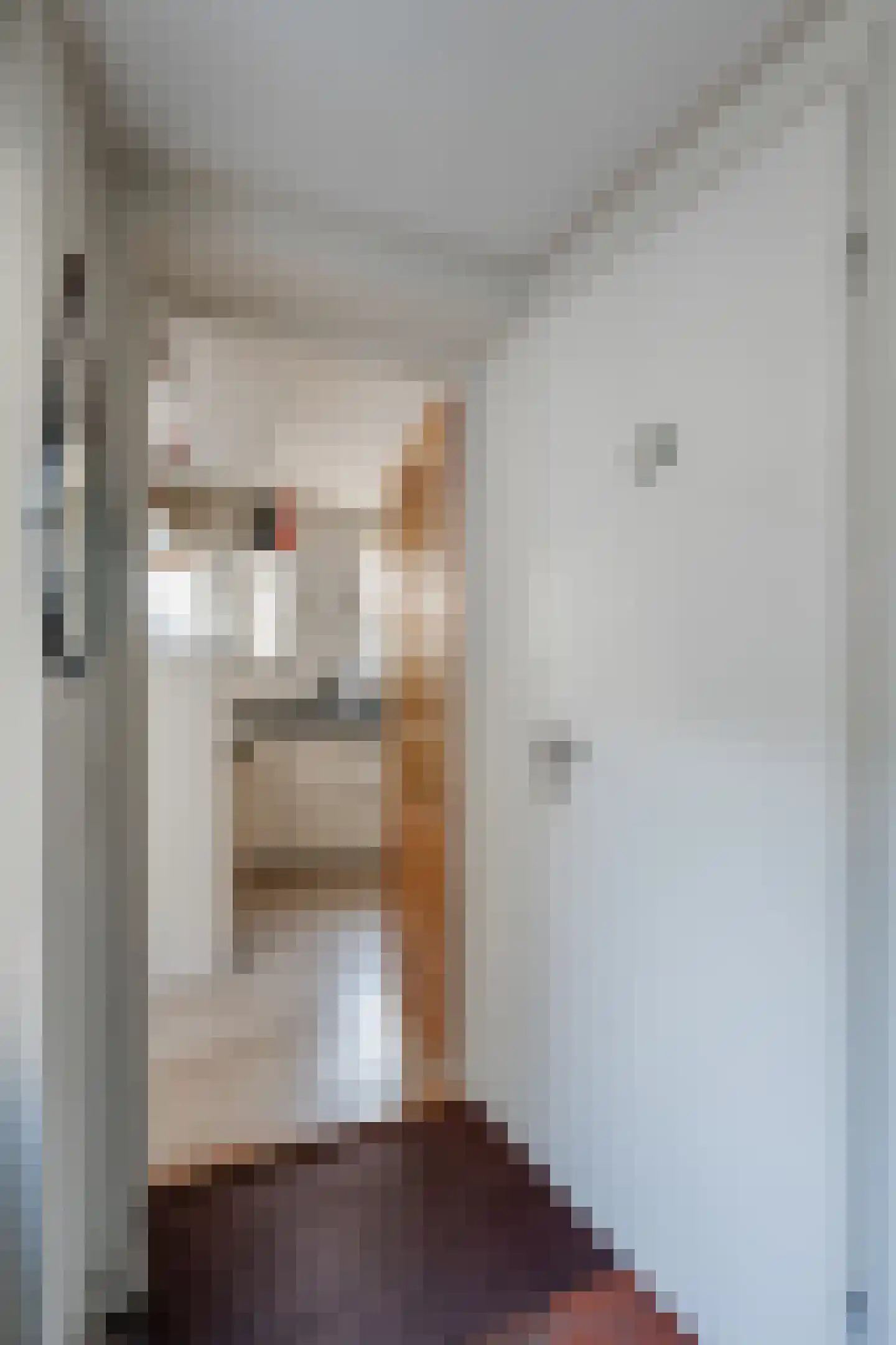 Neerwoldstraat 2 Steenwijk thumbnail 6