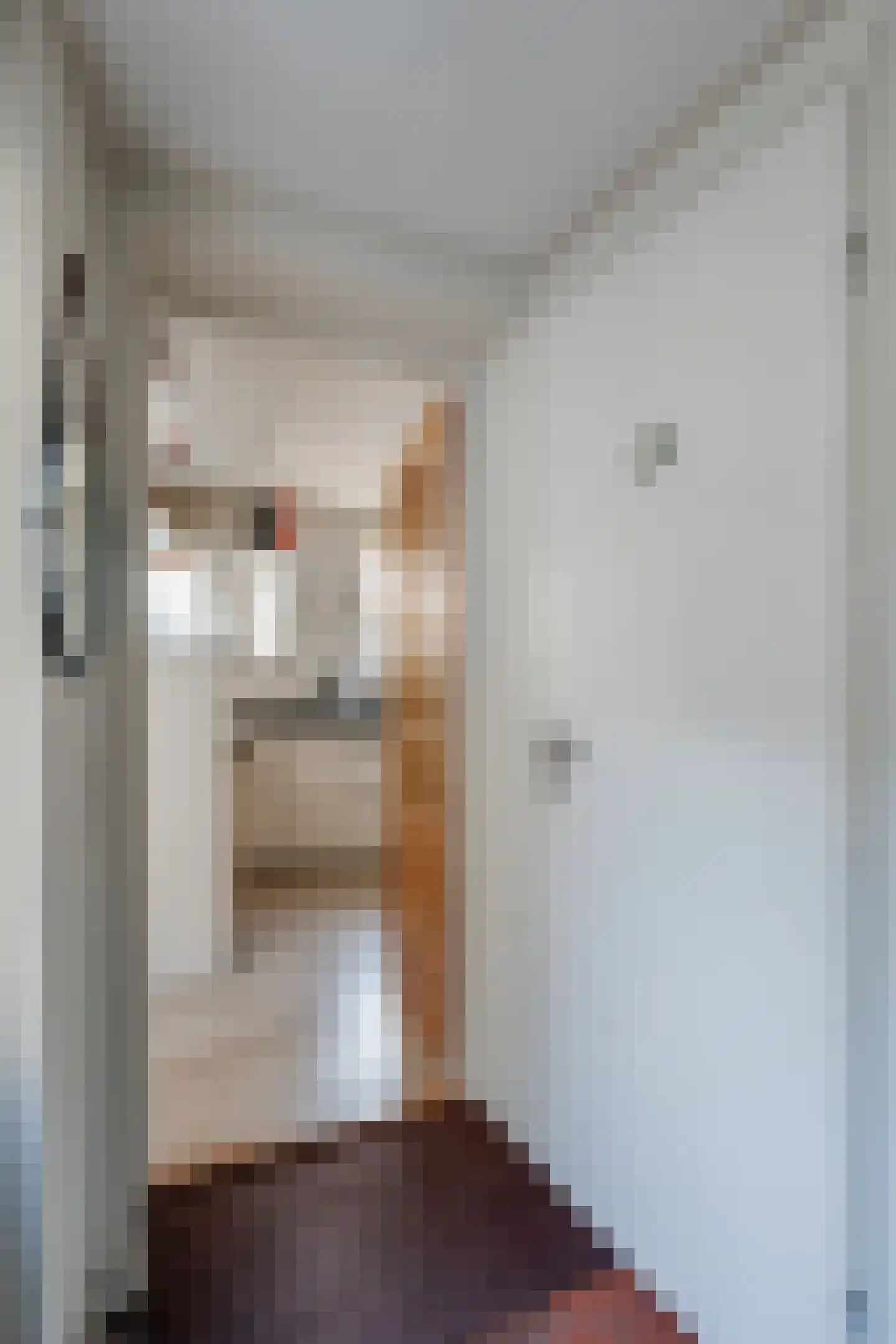 Neerwoldstraat 2 Steenwijk thumbnail 7