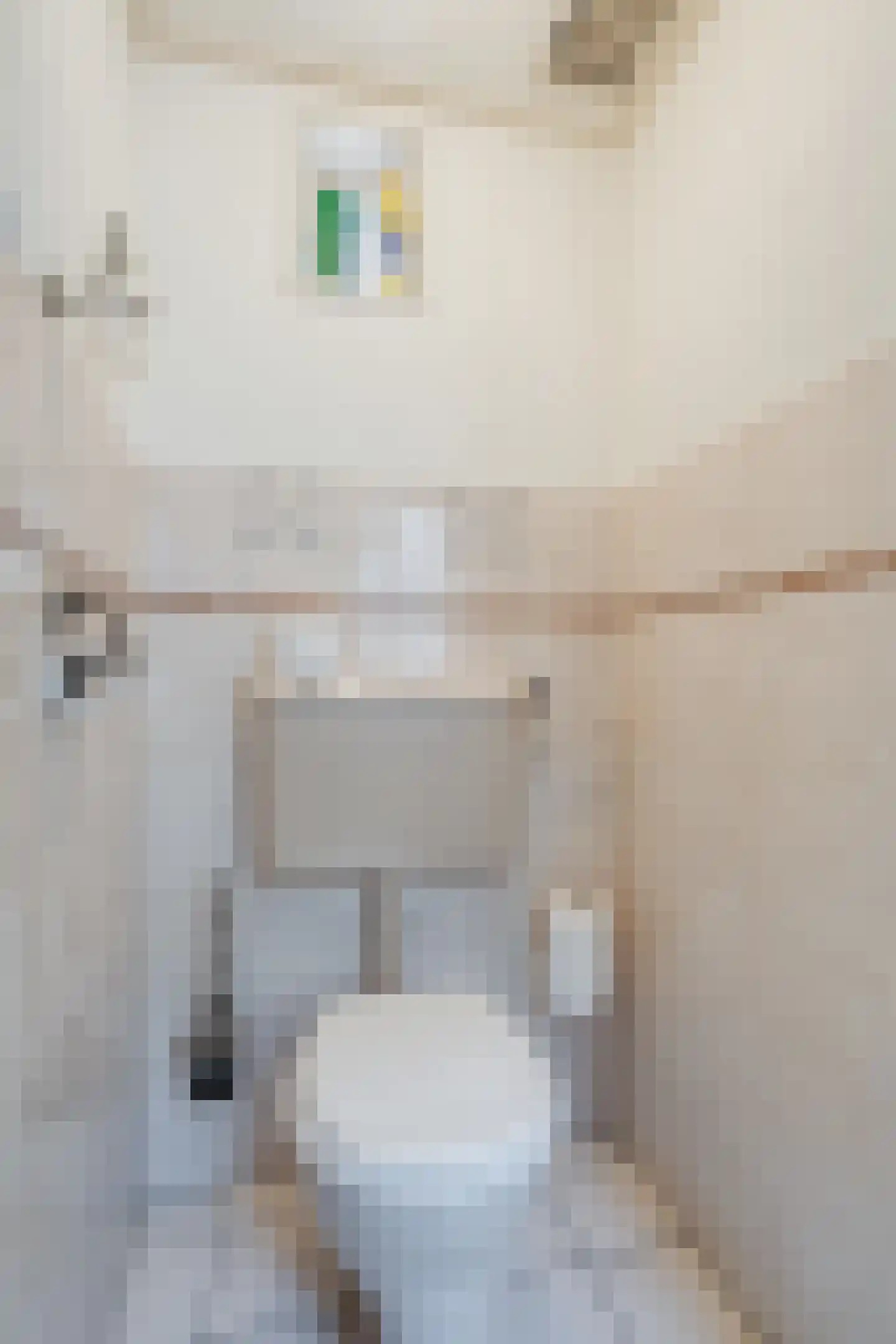 Neerwoldstraat 2 Steenwijk thumbnail 8