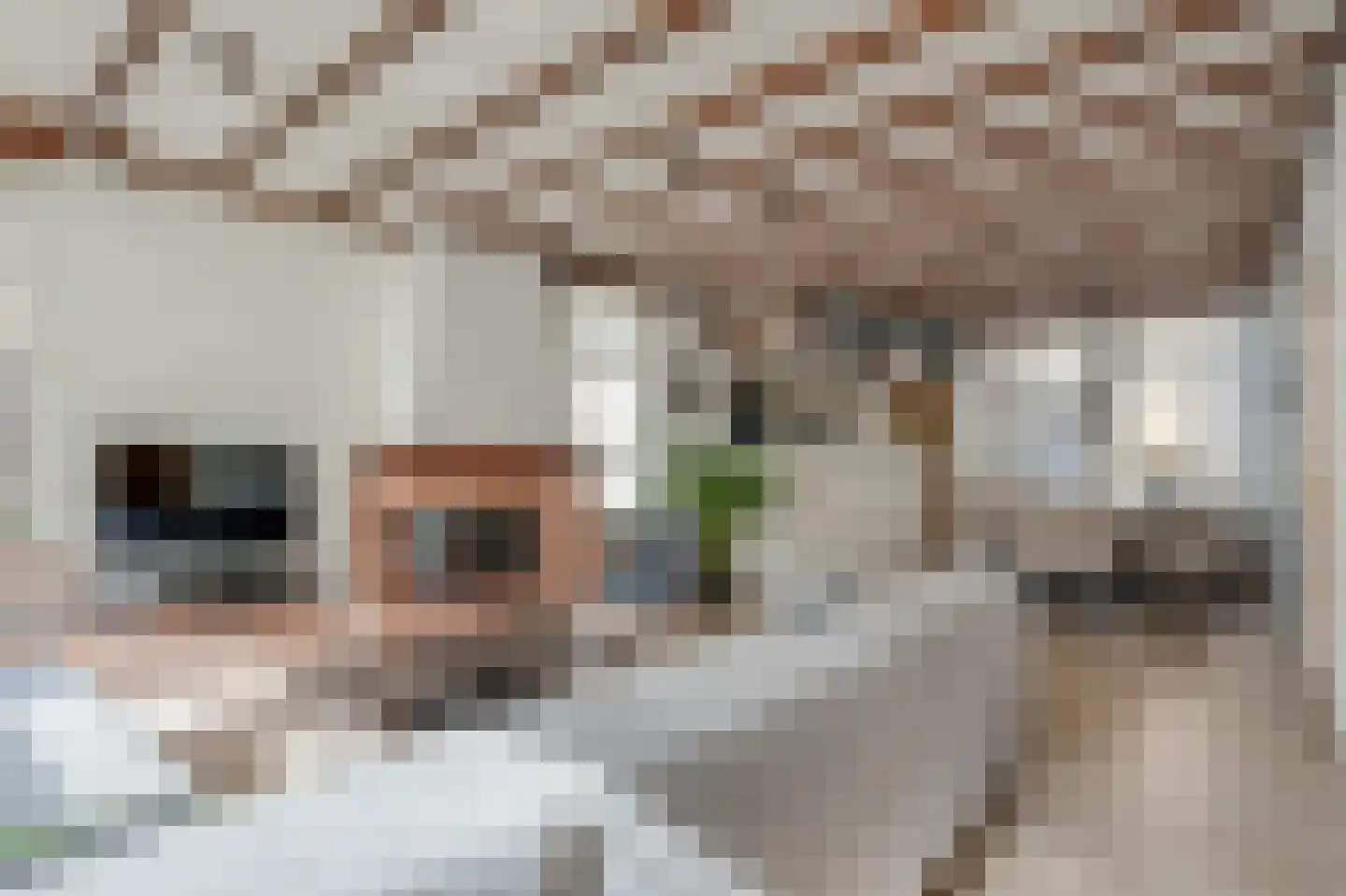 Neerwoldstraat 2 Steenwijk thumbnail 9