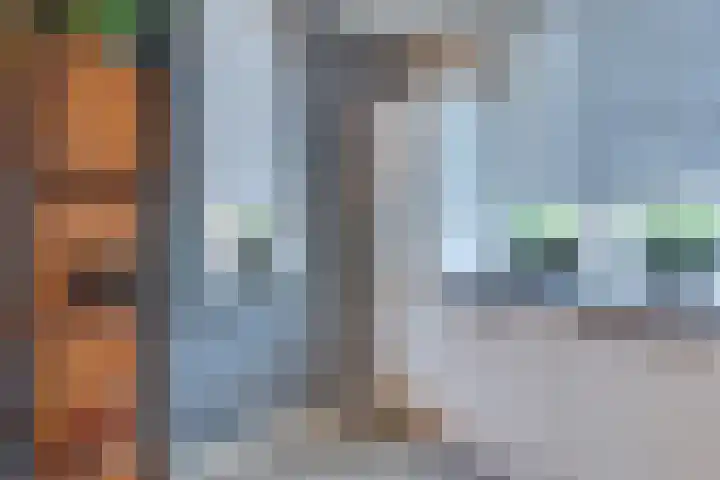 Negen Gemeten 13 Goes thumbnail 14