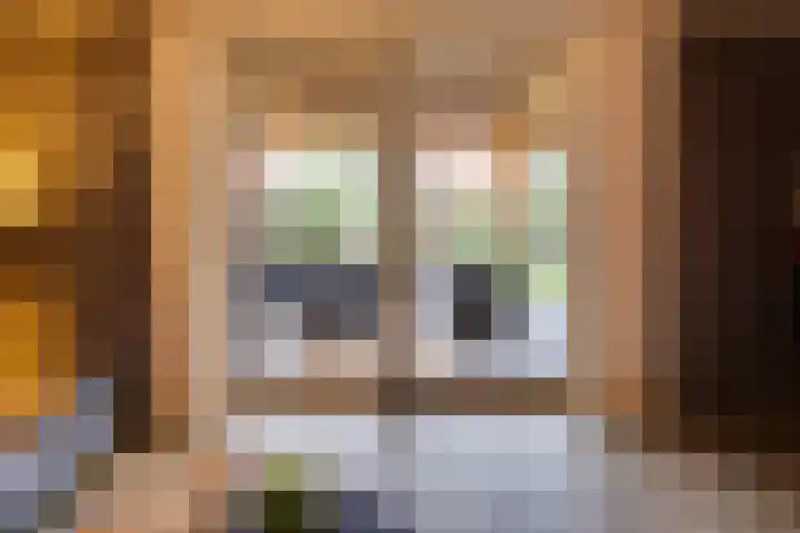 Negen Gemeten 13 Goes thumbnail 20