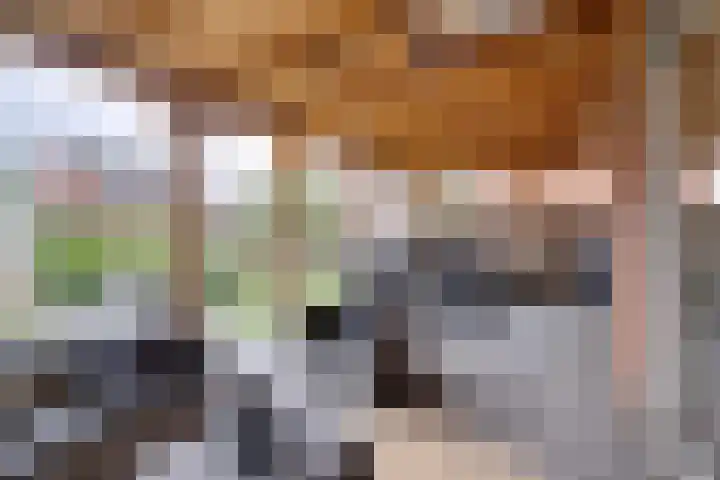 Negen Gemeten 13 Goes thumbnail 24