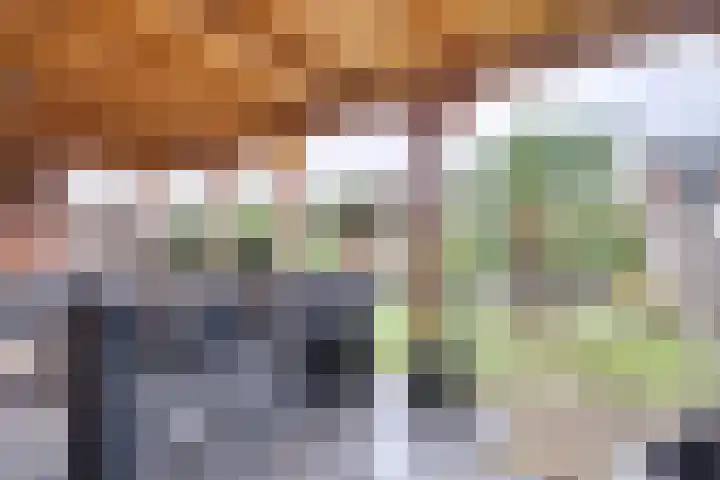 Negen Gemeten 13 Goes thumbnail 25