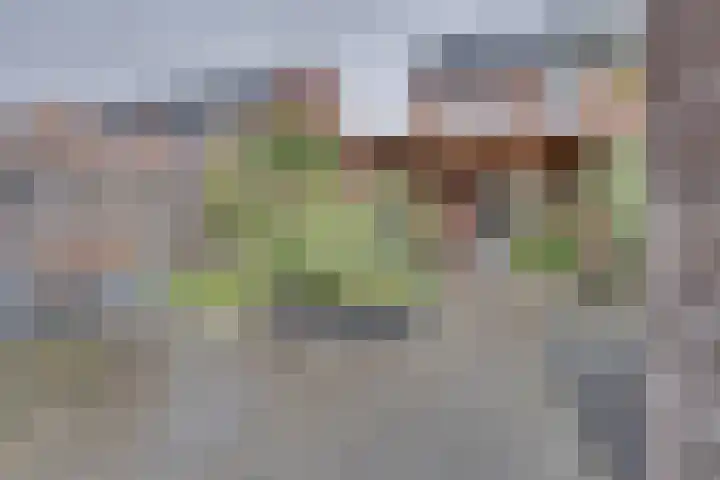 Negen Gemeten 13 Goes thumbnail 27