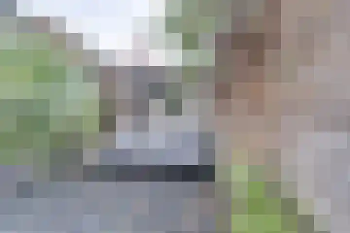 Negen Gemeten 13 Goes thumbnail 28