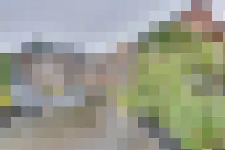 Negen Gemeten 13 Goes thumbnail 29