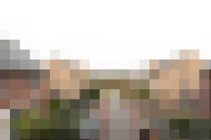Negen Gemeten 13 Goes foto 3