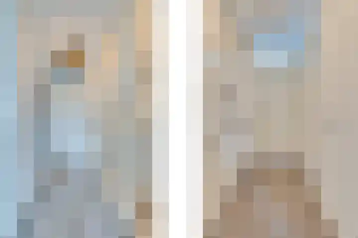 Negen Gemeten 13 Goes thumbnail 34