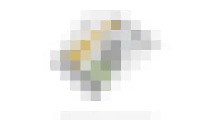 Negen Gemeten 13 Goes thumbnail 55