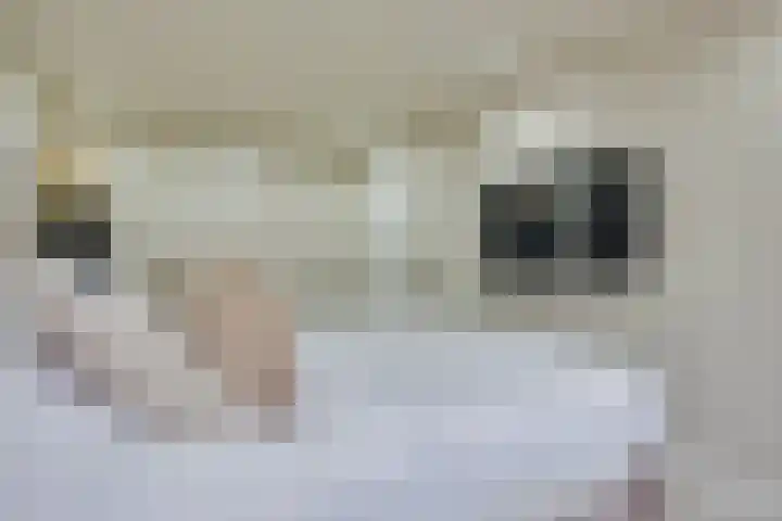 Negende Donk 59 's-Hertogenbosch thumbnail 17