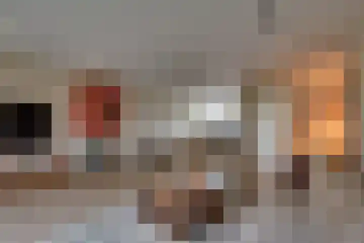 Negende Donk 59 's-Hertogenbosch thumbnail 4