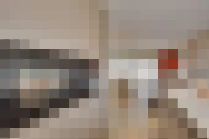 Negende Donk 59 's-Hertogenbosch thumbnail 6