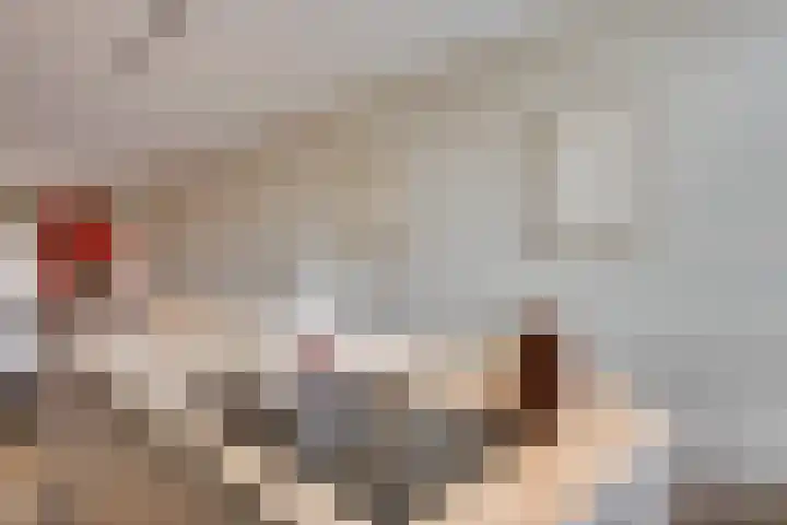 Negende Donk 59 's-Hertogenbosch thumbnail 8