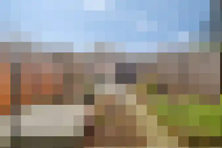 Negende Reit 25 's-Hertogenbosch thumbnail 20