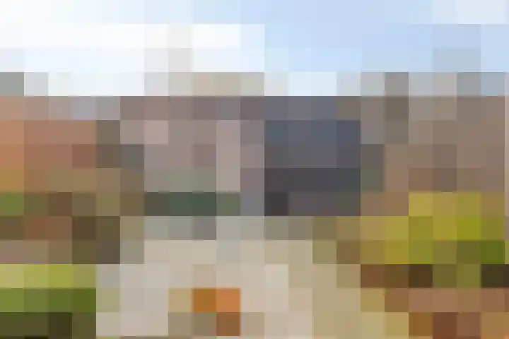 Negende Reit 25 's-Hertogenbosch thumbnail 22