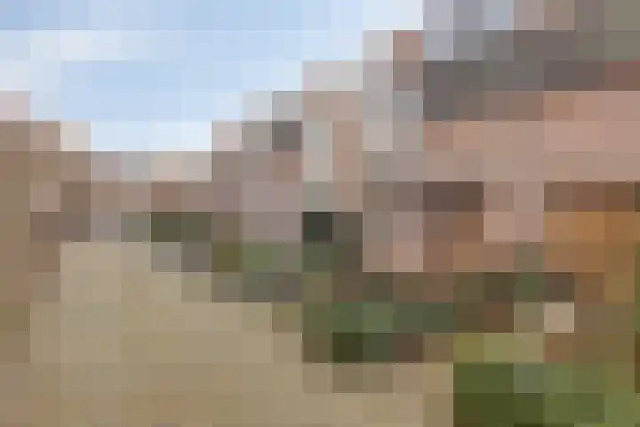 Negende Reit 25 's-Hertogenbosch thumbnail 28