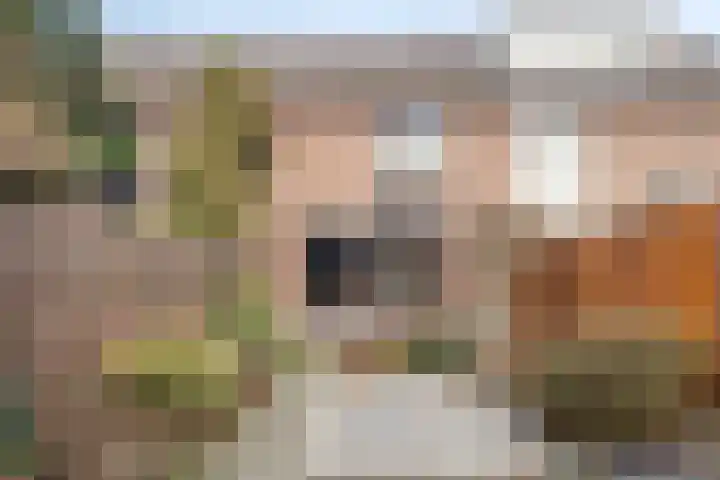 Negende Reit 25 's-Hertogenbosch thumbnail 29