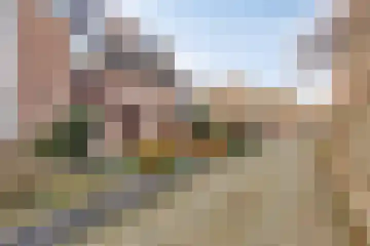 Negende Reit 25 's-Hertogenbosch thumbnail 31