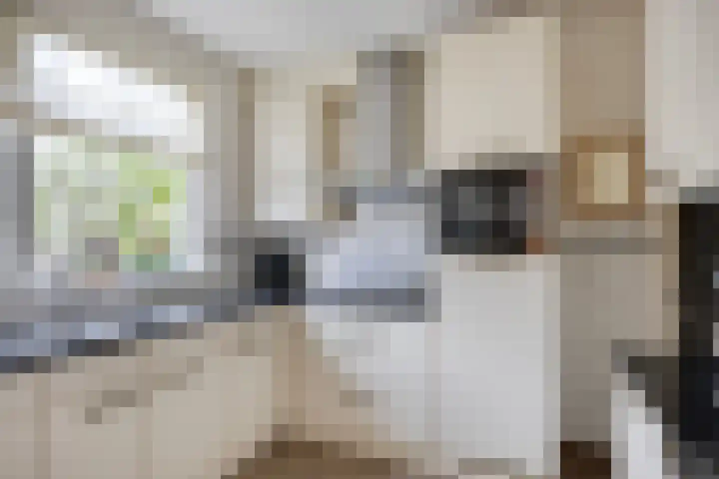 Negende Reit 42 's-Hertogenbosch thumbnail 13