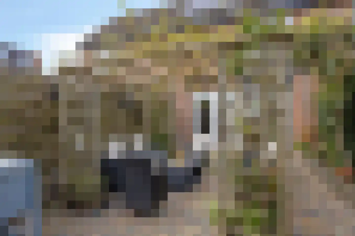 Negende Reit 42 's-Hertogenbosch thumbnail 28
