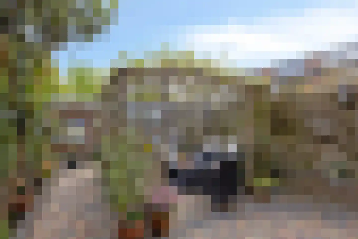 Negende Reit 42 's-Hertogenbosch thumbnail 5