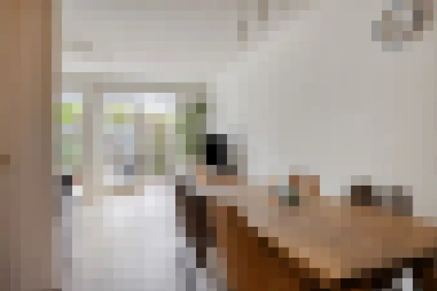 Negende Reit 42 's-Hertogenbosch thumbnail 9