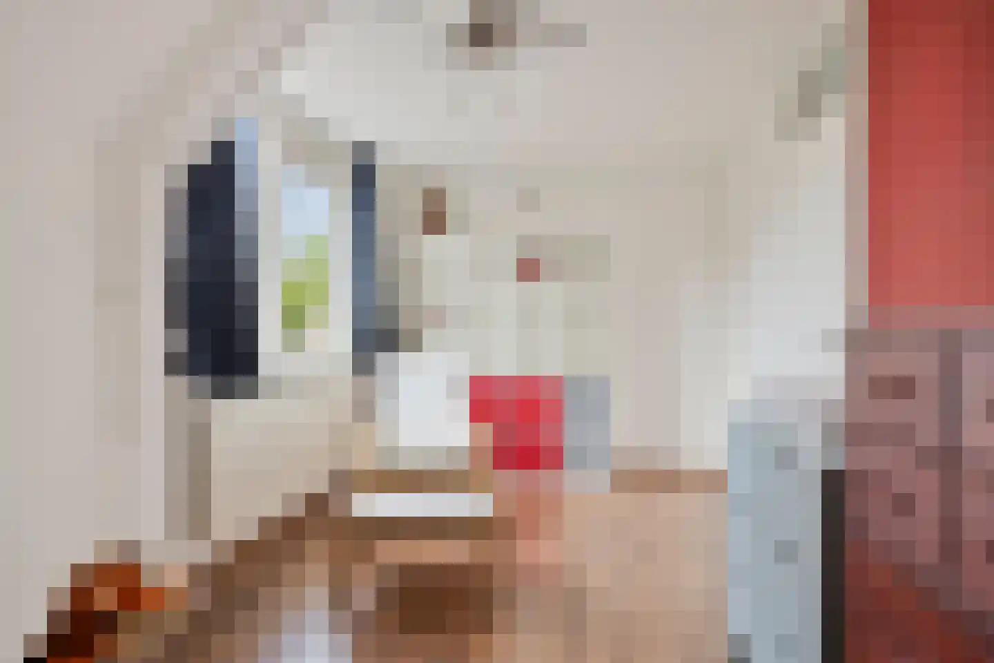 Negende Reit 64 's-Hertogenbosch thumbnail 16