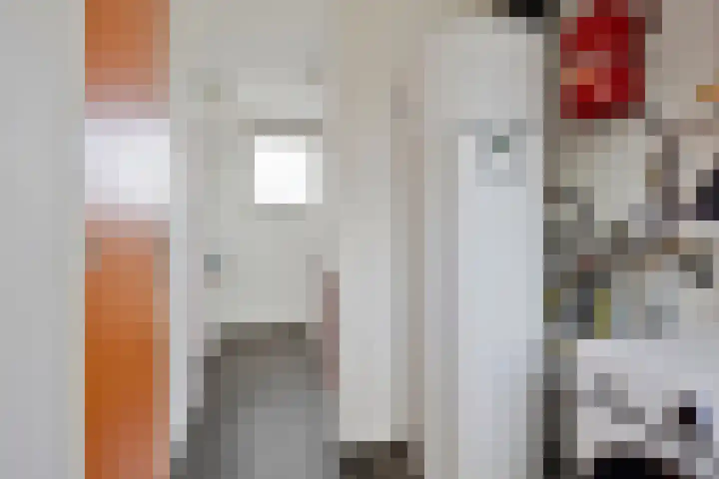Negende Reit 64 's-Hertogenbosch thumbnail 24