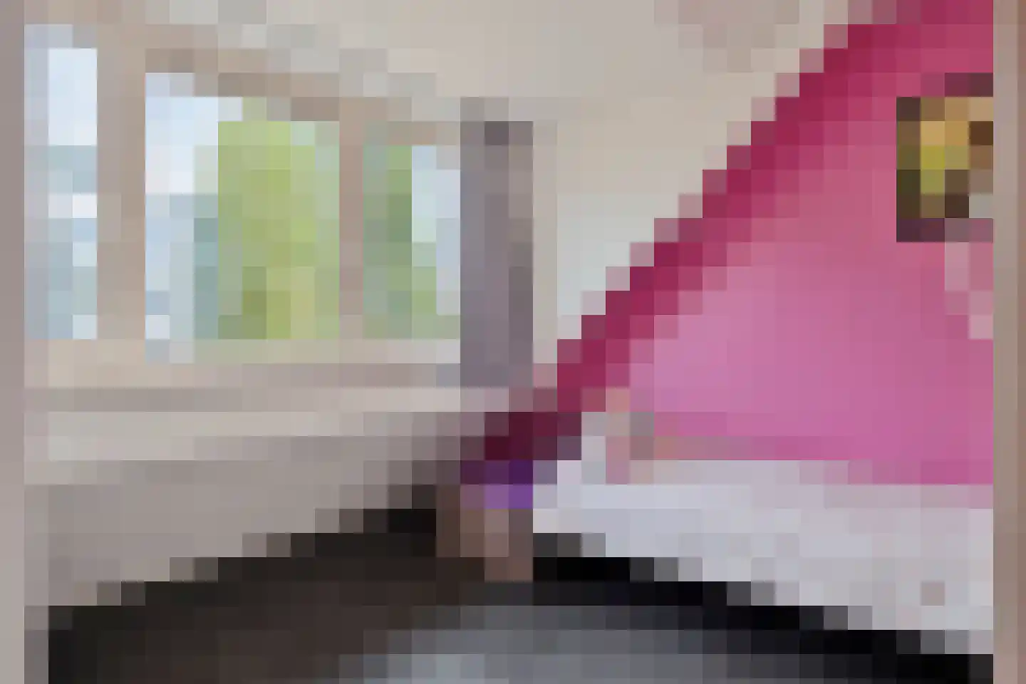 Negende Reit 64 's-Hertogenbosch thumbnail 27