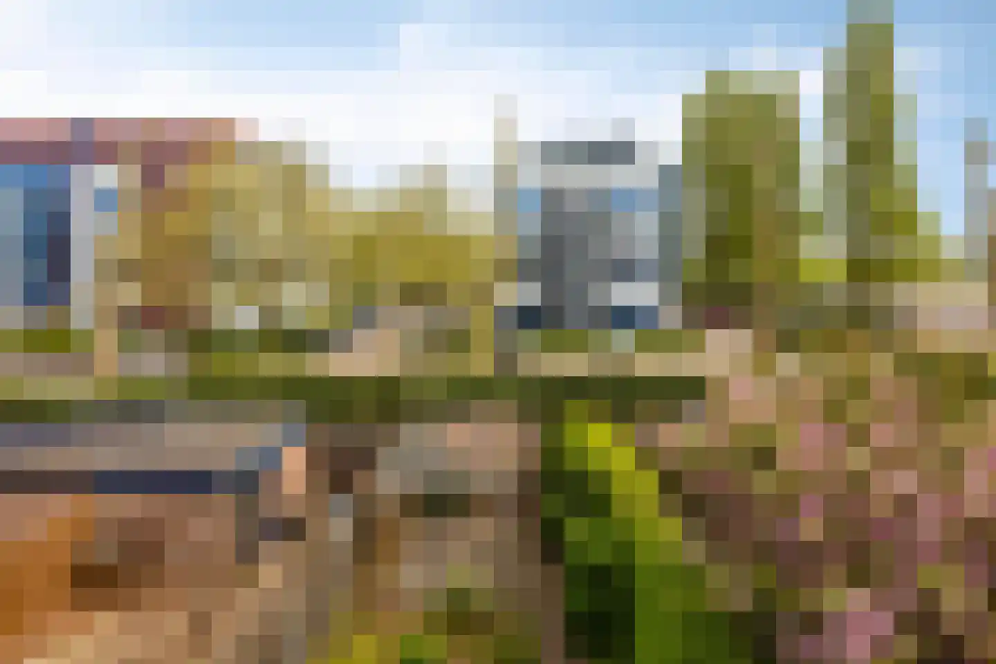 Negende Reit 64 's-Hertogenbosch thumbnail 29