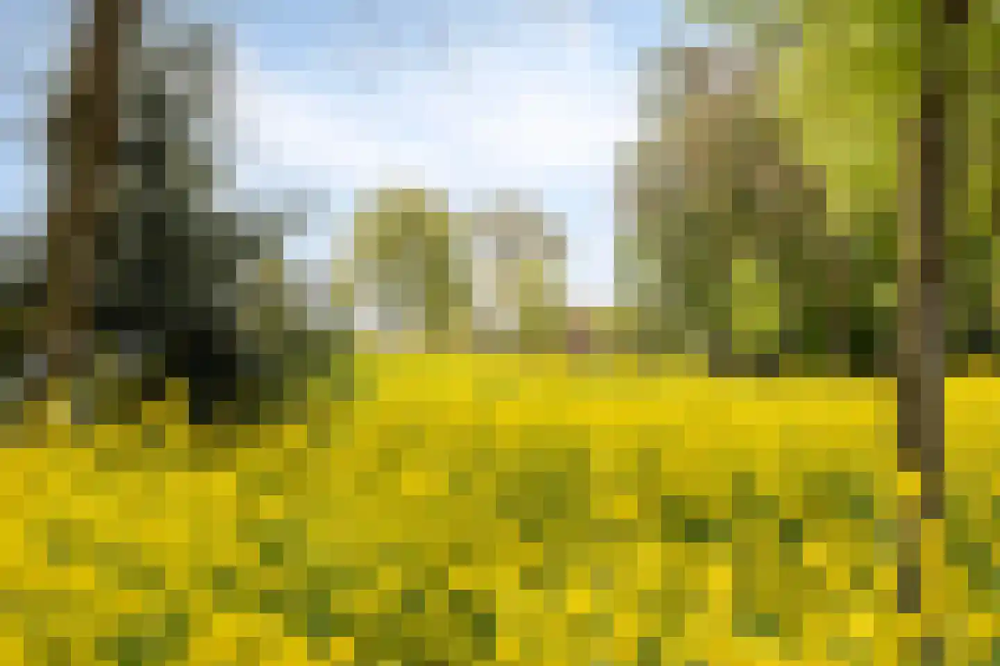 Negende Reit 64 's-Hertogenbosch thumbnail 34